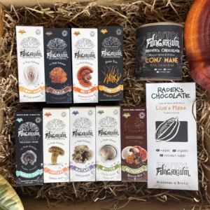 The Everything Bundle